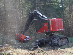 Image abatteuse Timberpro TL 745D + tête Log Max Quadco 7000XTDS