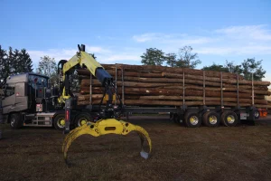 image ensemble transport de bois Diebolt